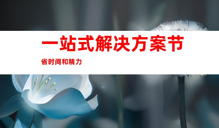 一站式解决方案节省时间和精力