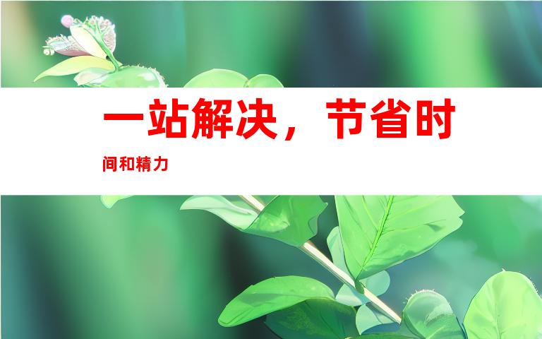 一站解决，节省时间和精力