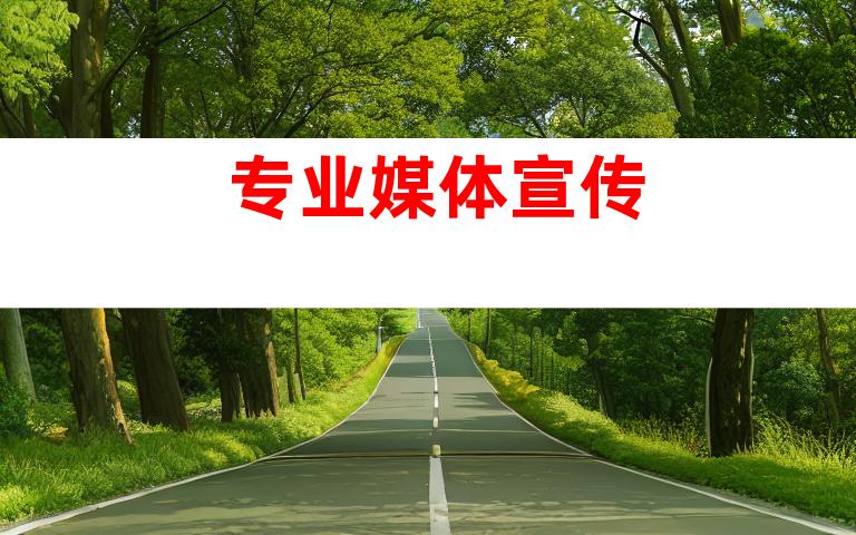 专业媒体宣传