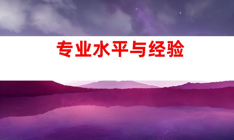 专业水平与经验