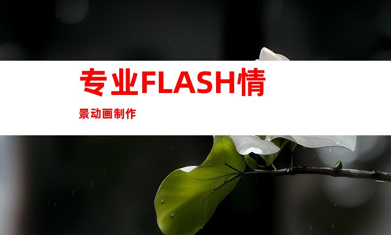 专业FLASH情景动画制作