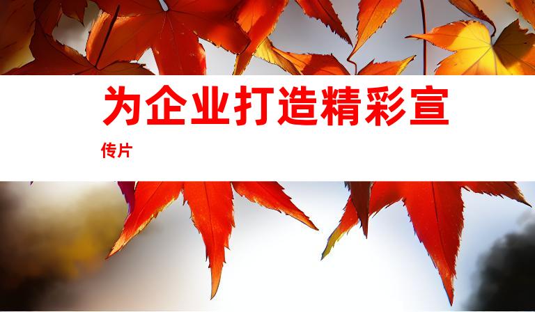 为企业打造精彩宣传片