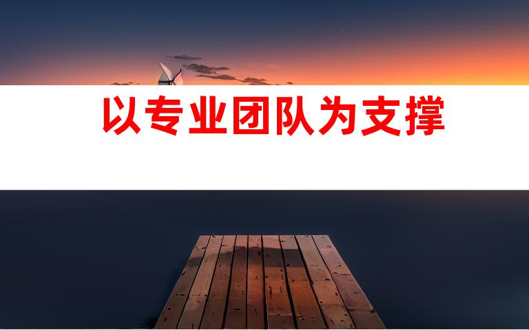 以专业团队为支撑