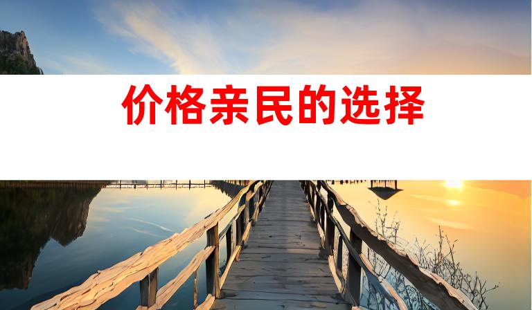 价格亲民的选择