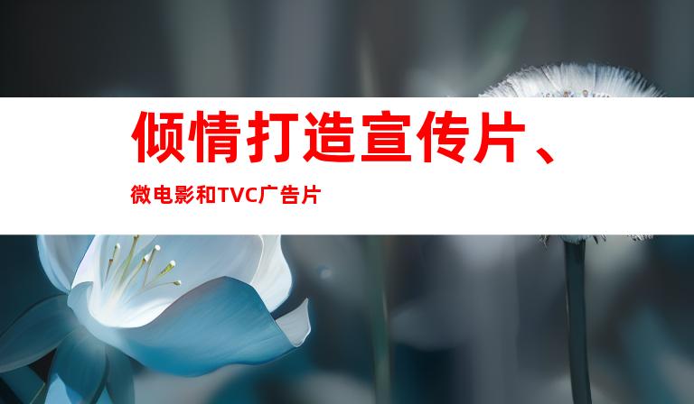 倾情打造宣传片、微电影和TVC广告片