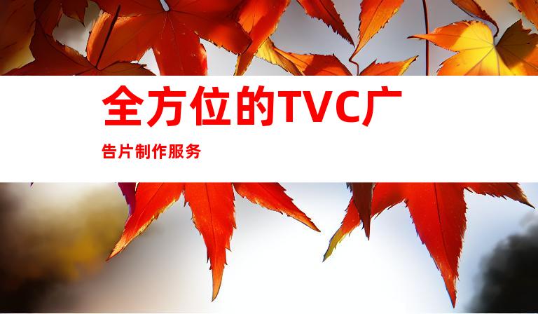 全方位的TVC广告片制作服务