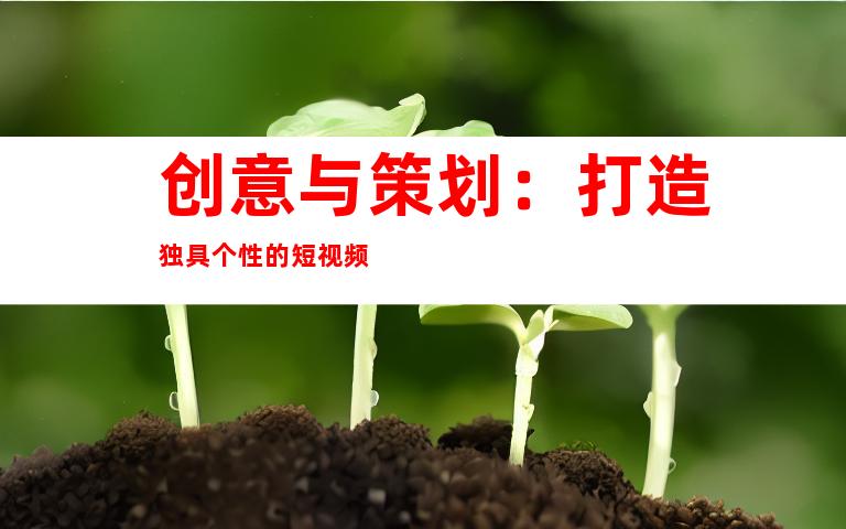 创意与策划：打造独具个性的短视频