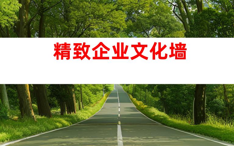 精致企业文化墙