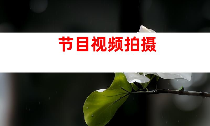 节目视频拍摄