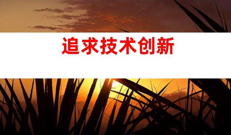 追求技术创新