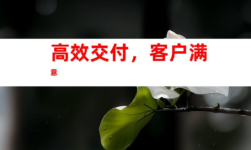 高效交付，客户满意