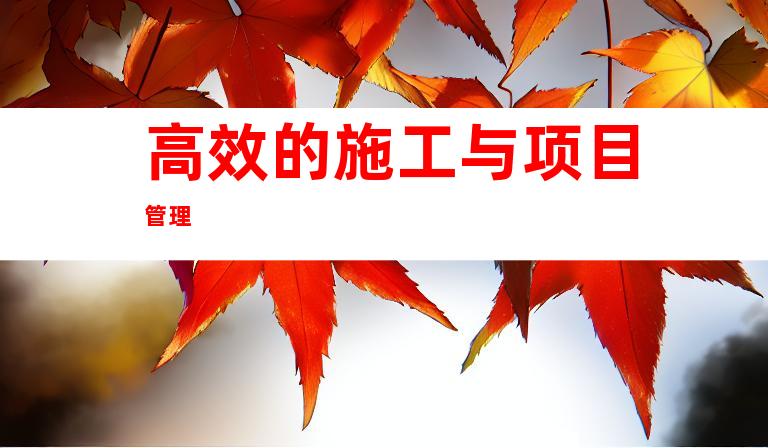 高效的施工与项目管理