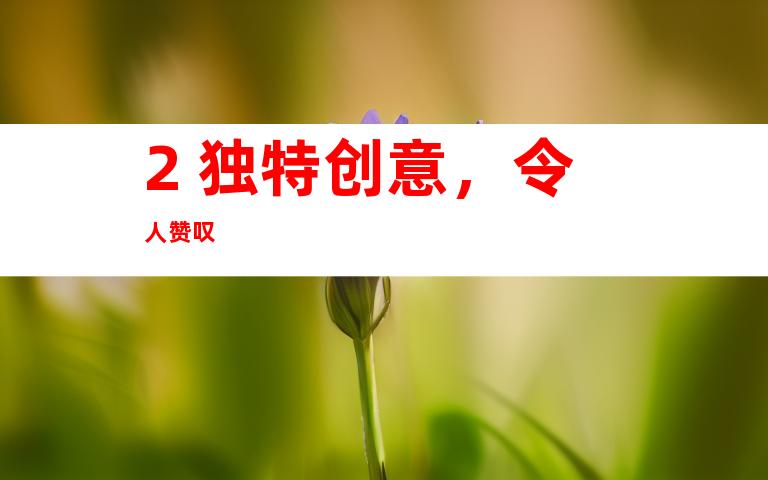 2. 独特创意，令人赞叹