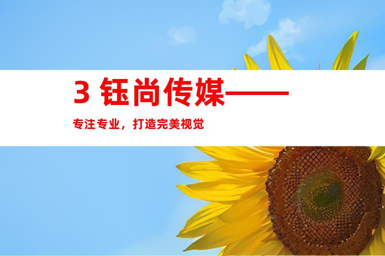 3. 钰尚传媒——专注专业，打造完美视觉